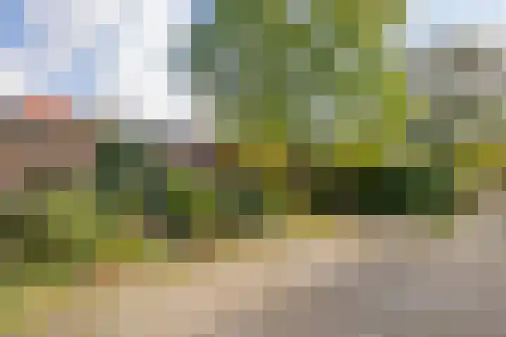 Groenekanseweg 82 2 De Bilt thumbnail 39