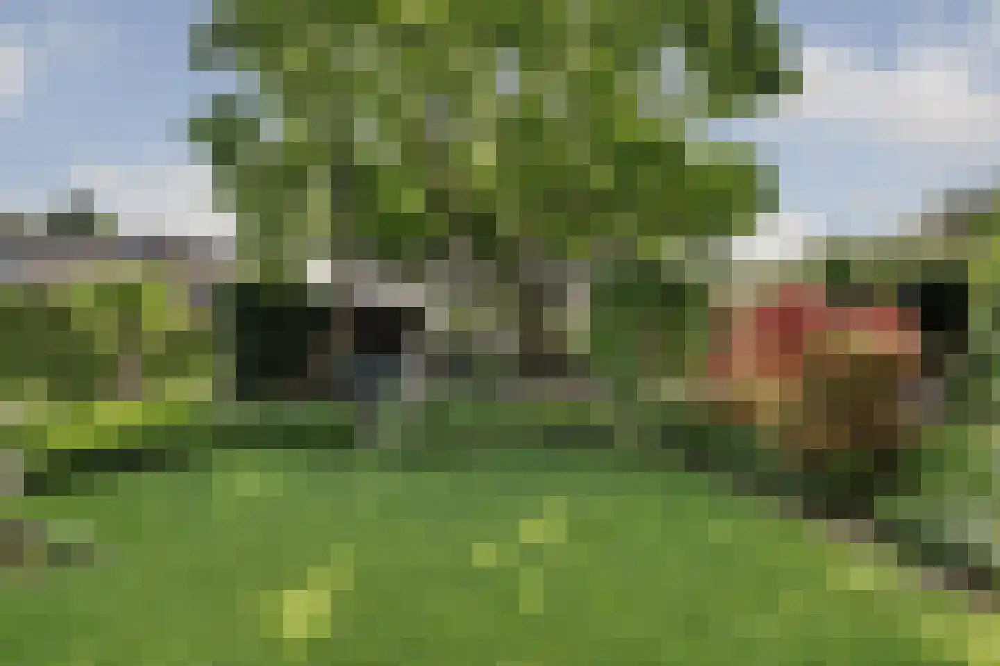 Groenekruislaan 2 Dordrecht thumbnail 5