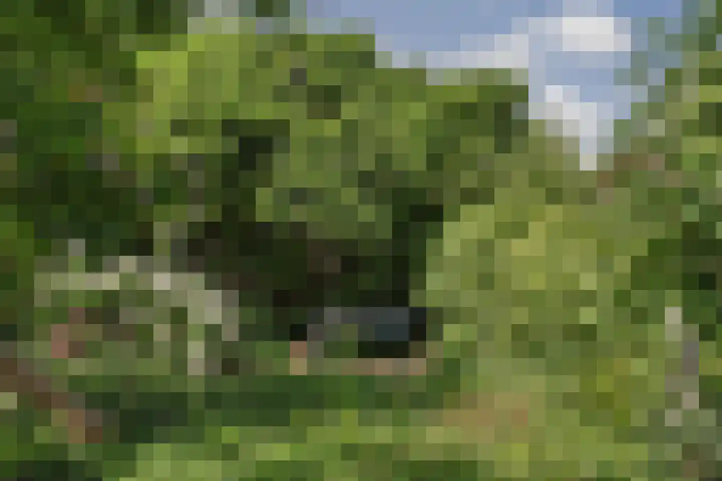 Groenekruislaan 2 Dordrecht thumbnail 54