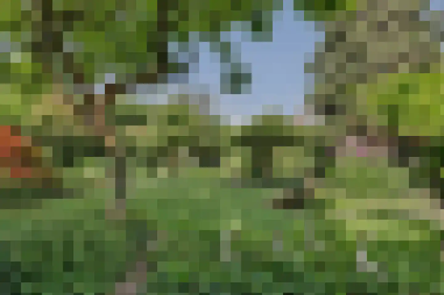 Groenekruislaan 2 Dordrecht thumbnail 57