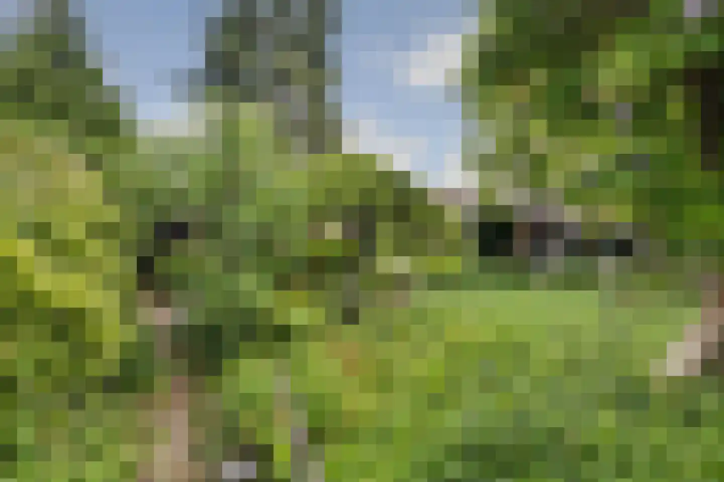 Groenekruislaan 2 Dordrecht thumbnail 58