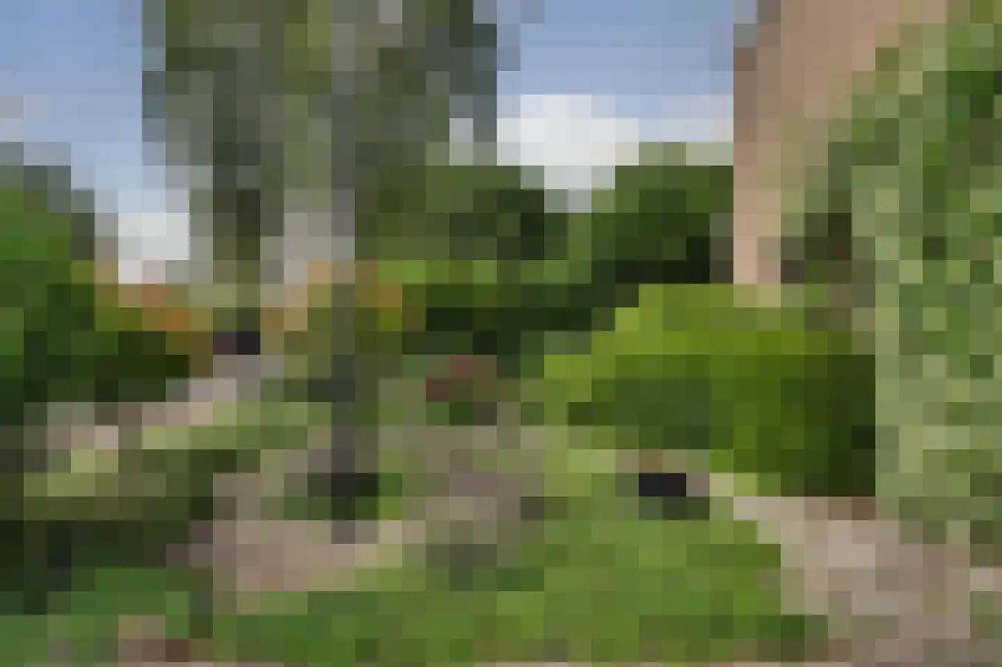 Groenekruislaan 2 Dordrecht thumbnail 59