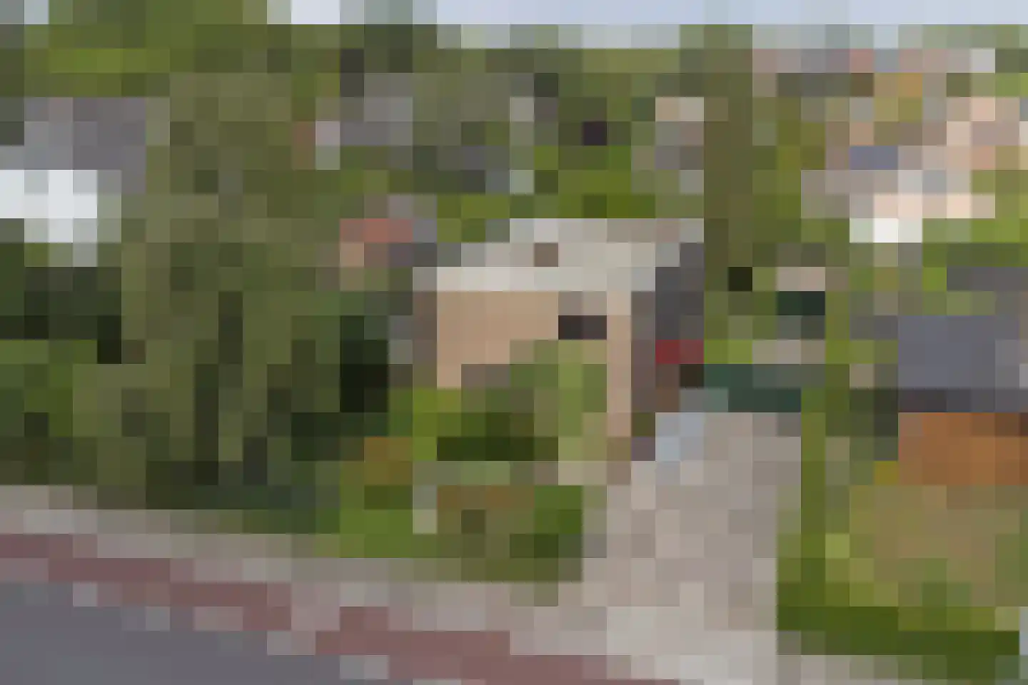 Groenekruislaan 2 Dordrecht thumbnail 72
