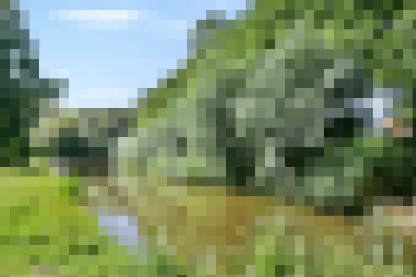 Groenekruislaan 71 Dordrecht thumbnail 30