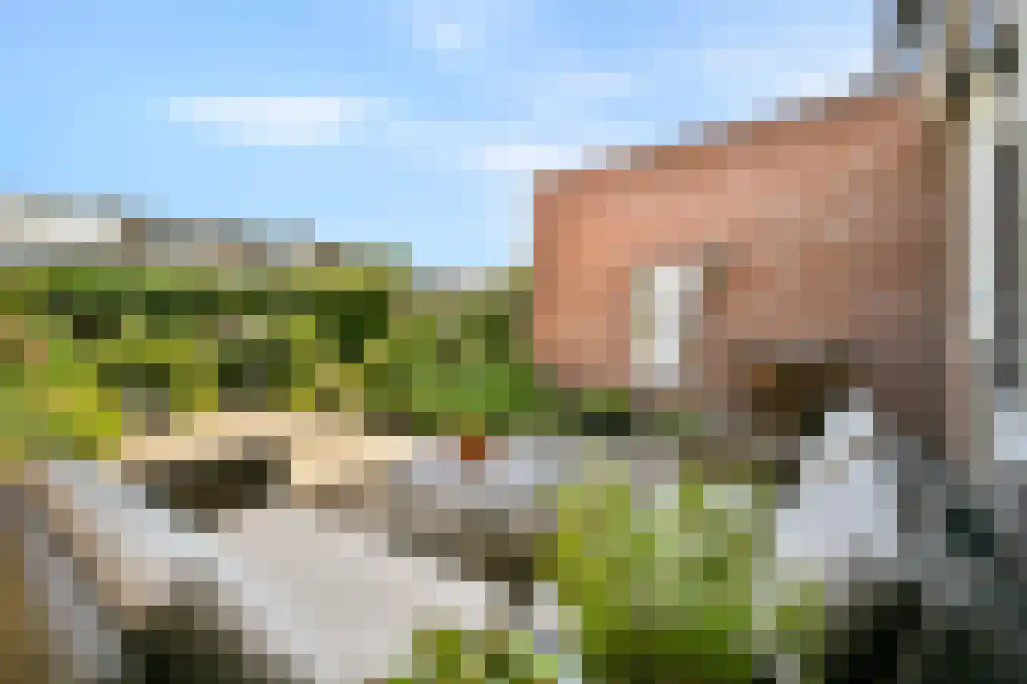 Groenekruislaan 71 Dordrecht thumbnail 5