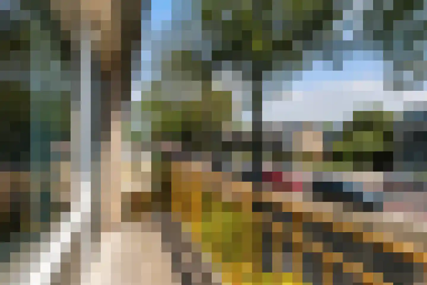 Groenekruislaan 8 Dordrecht thumbnail 23