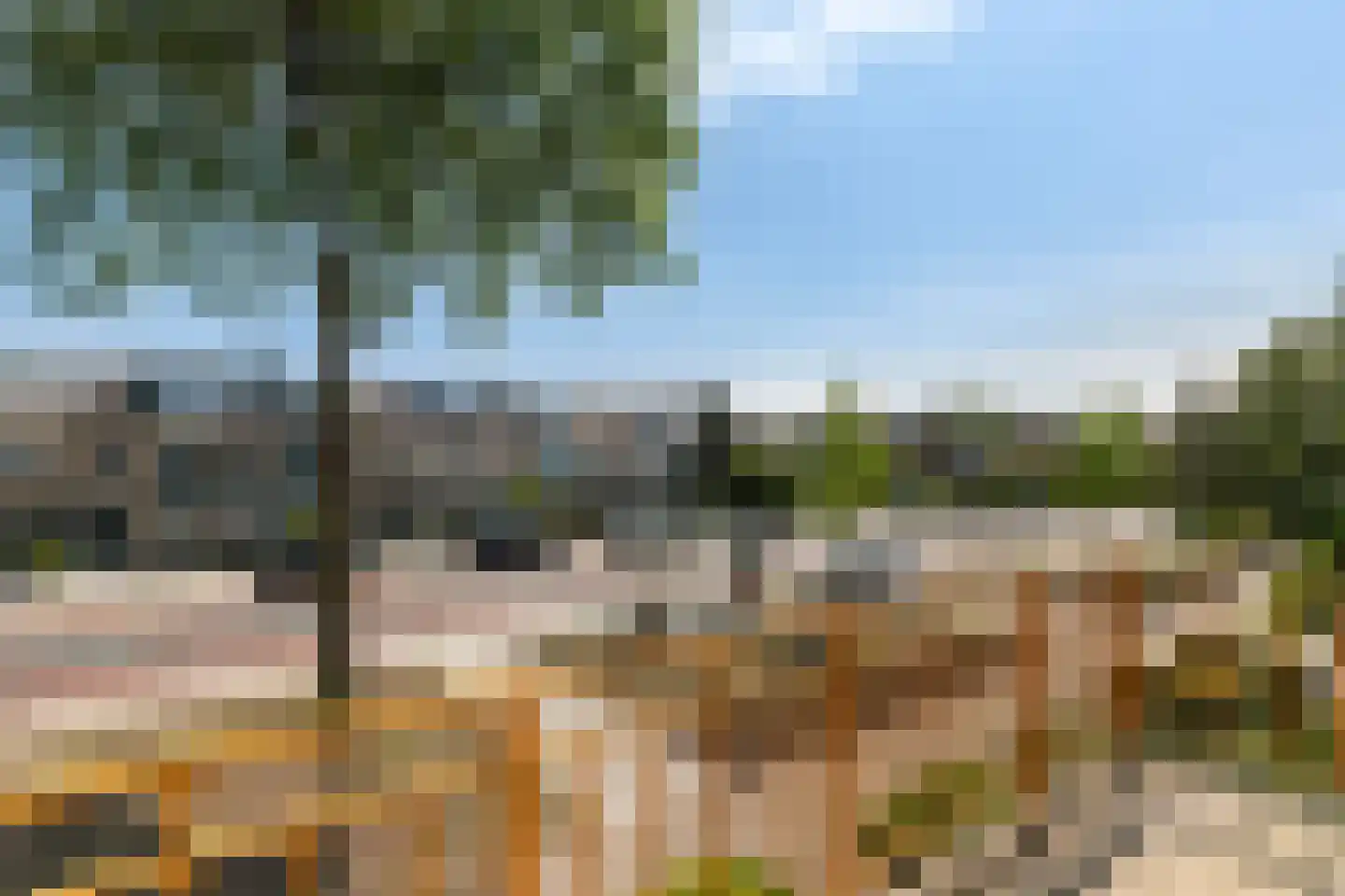 Groenekruislaan 8 Dordrecht thumbnail 24