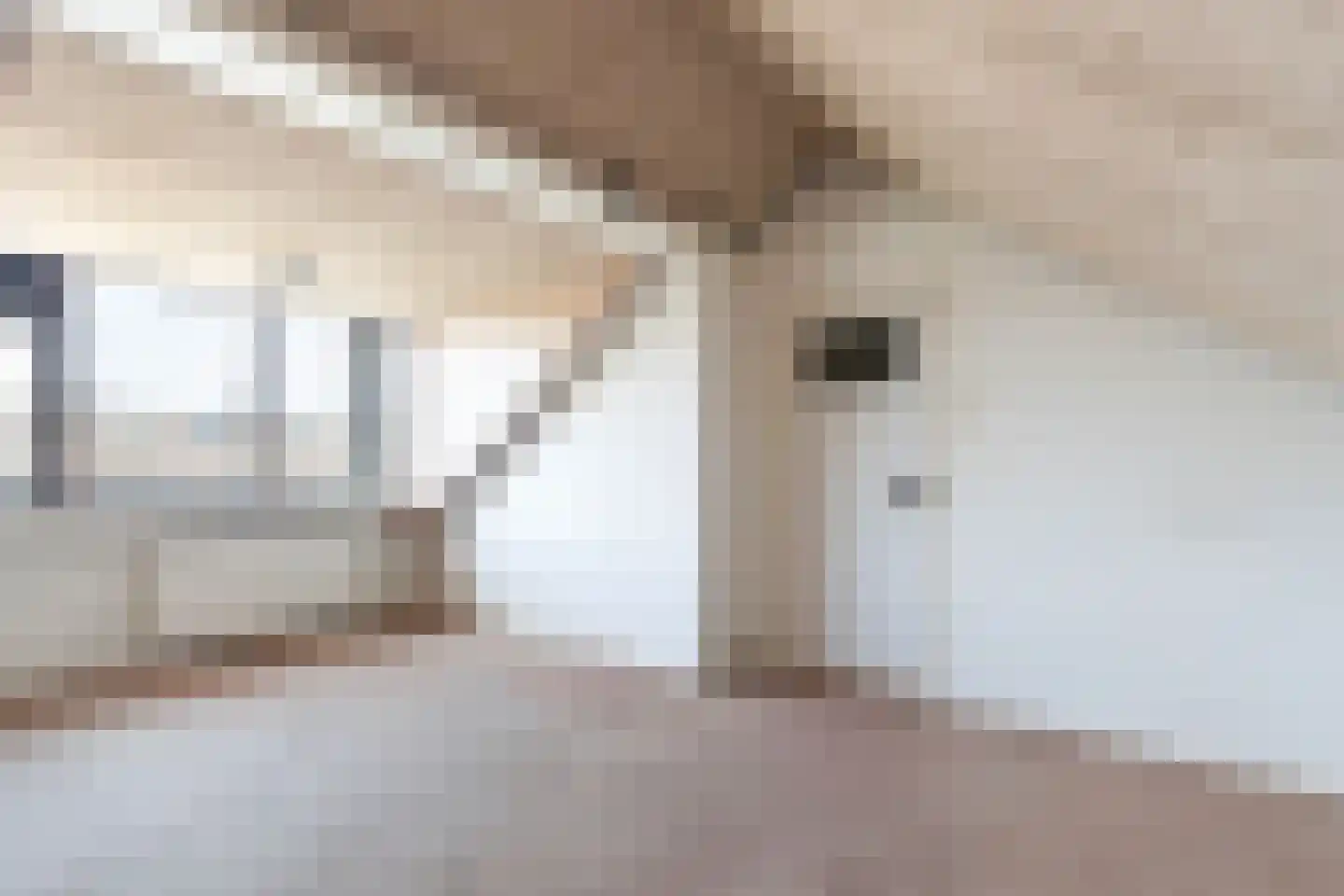Groenekruislaan 8 Dordrecht thumbnail 27