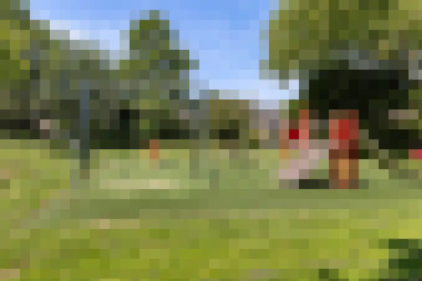 Groenekruislaan 8 Dordrecht thumbnail 35
