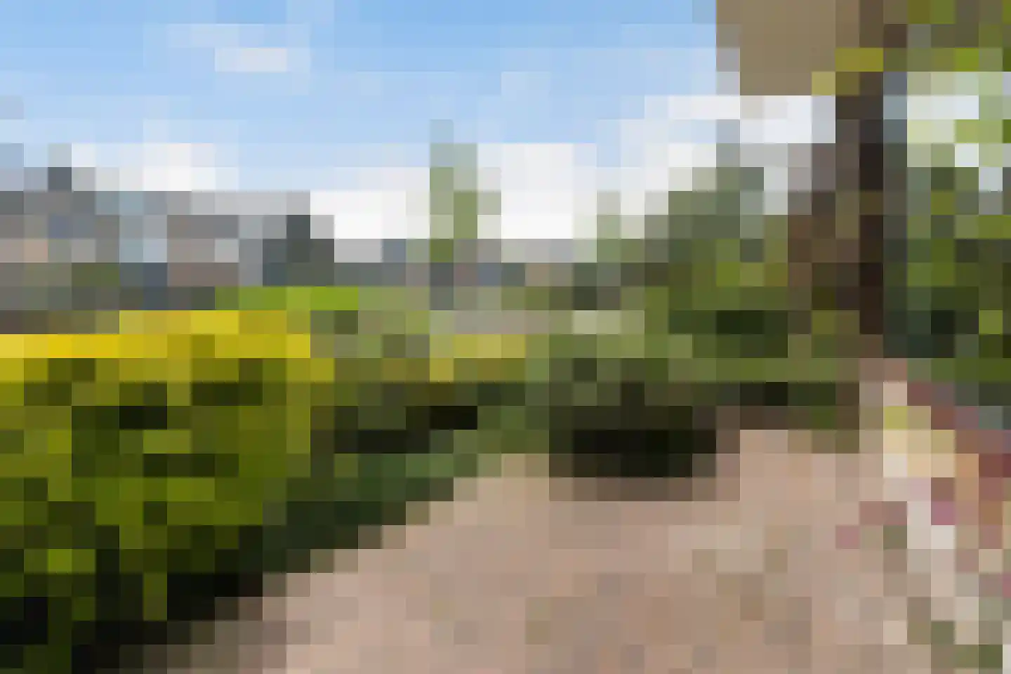 Groenekruislaan 8 Dordrecht thumbnail 8