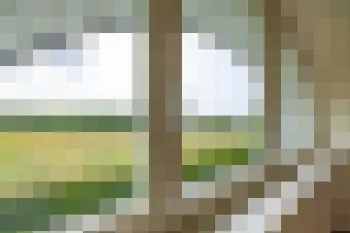 Groenekruissingel 34 Bergen L thumbnail 39