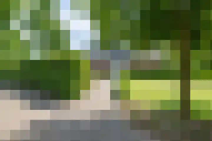 Groenekruissingel 34 Bergen L thumbnail 5