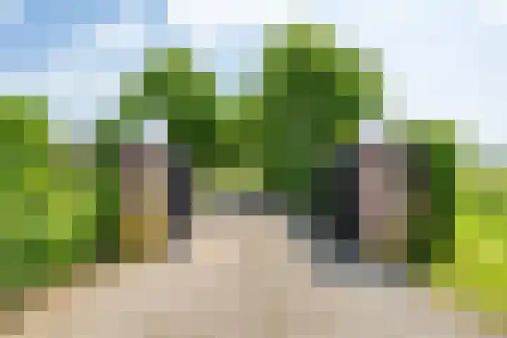 Groenekruissingel 34 Bergen L thumbnail 6