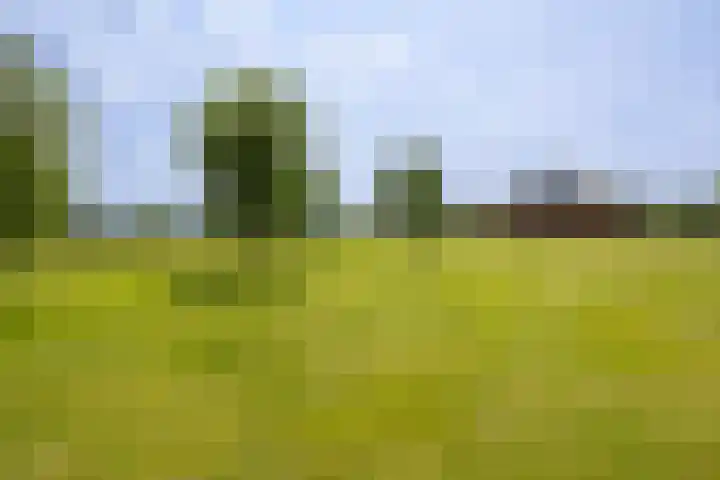 Groenekruissingel 34 Bergen L thumbnail 70