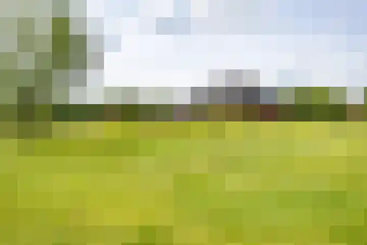 Groenekruissingel 34 Bergen L thumbnail 71