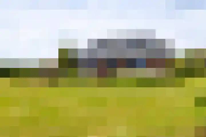 Groenekruissingel 34 Bergen L thumbnail 72