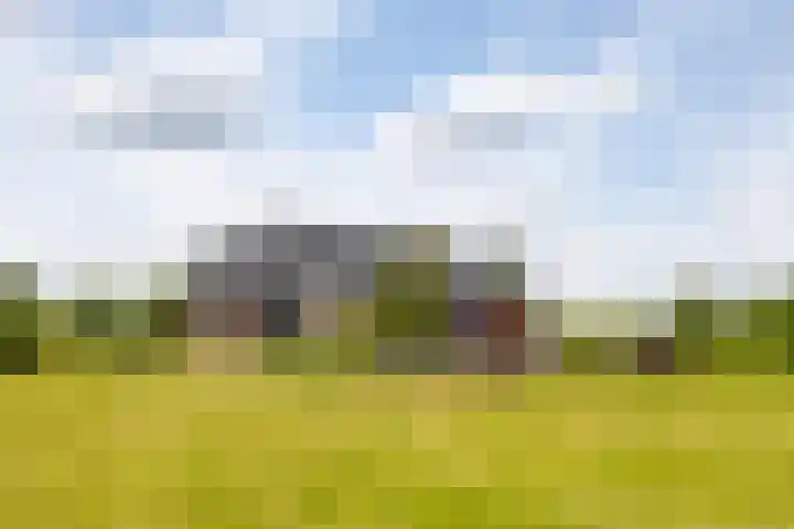 Groenekruissingel 34 Bergen L thumbnail 73