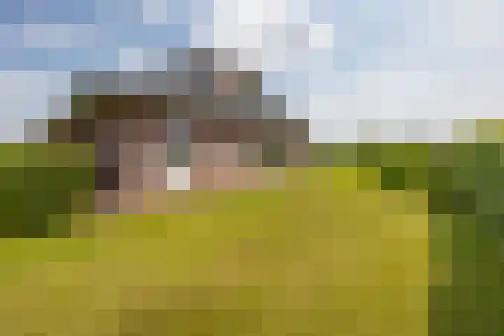 Groenekruissingel 34 Bergen L thumbnail 77