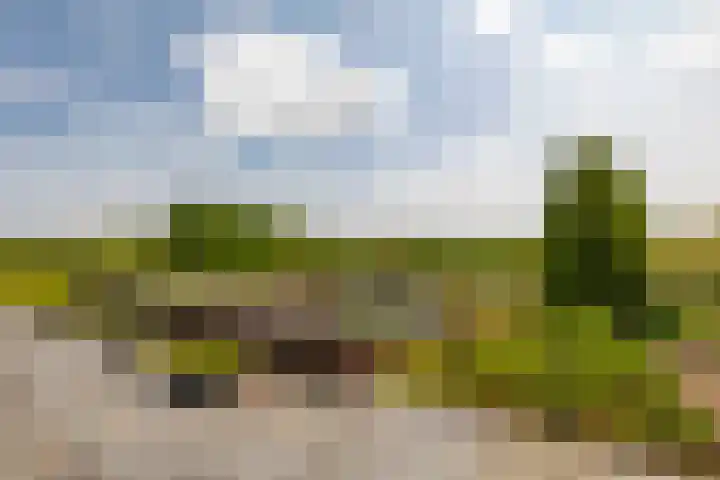 Groenekruissingel 34 Bergen L thumbnail 78