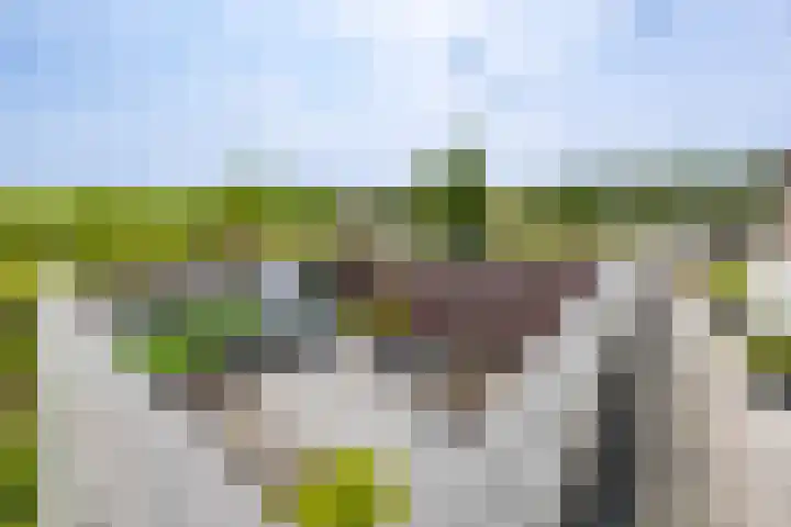 Groenekruissingel 34 Bergen L thumbnail 79
