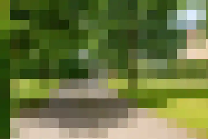Groenekruissingel 34 Bergen L thumbnail 84