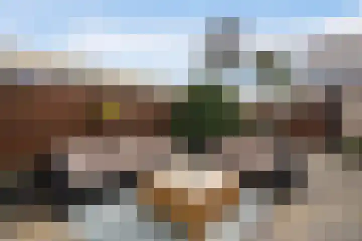 Groenelaan 110 Honselersdijk thumbnail 17