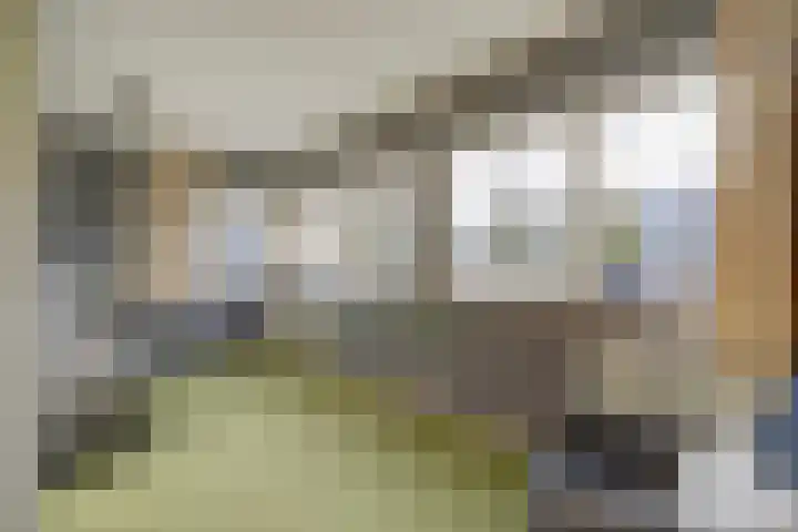 Groenelaan 110 Honselersdijk thumbnail 35
