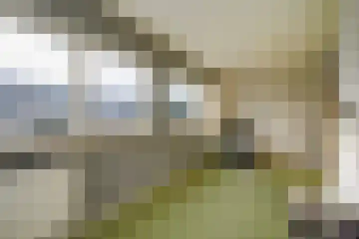 Groenelaan 110 Honselersdijk thumbnail 36