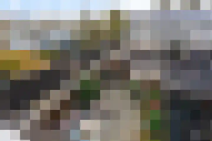 Groenelaan 110 Honselersdijk thumbnail 37