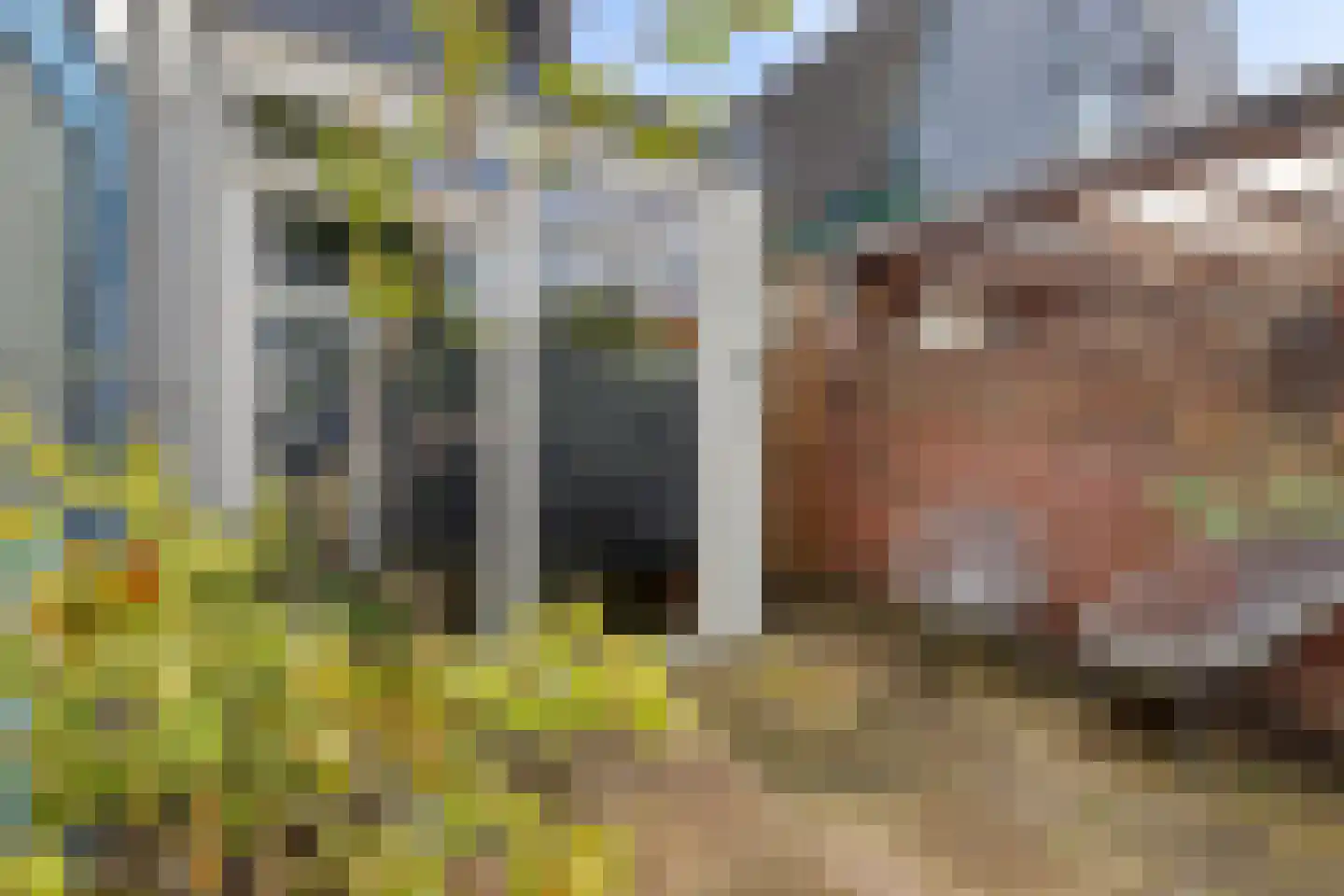 Groenelaan 12 Beverwijk thumbnail 38