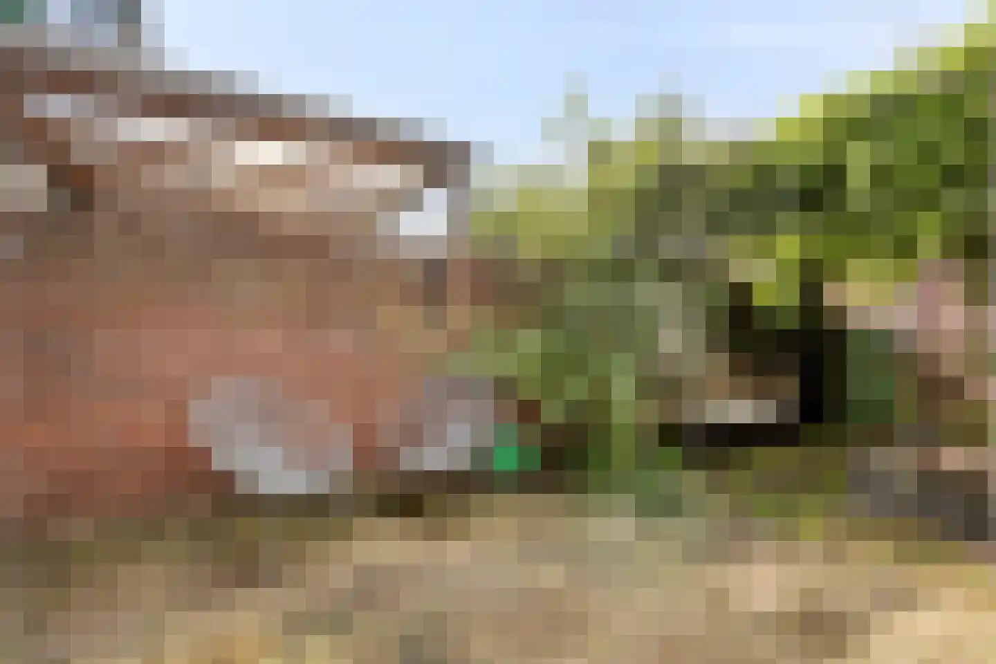 Groenelaan 12 Beverwijk thumbnail 39