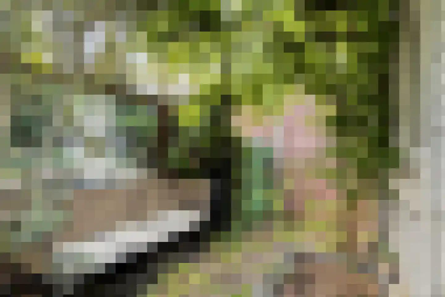 Groenelaan 12 Beverwijk thumbnail 41