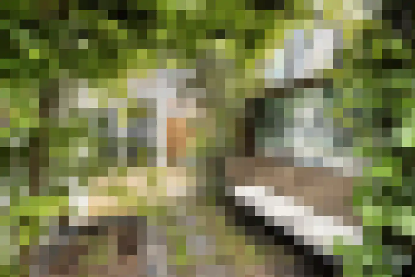 Groenelaan 12 Beverwijk thumbnail 43