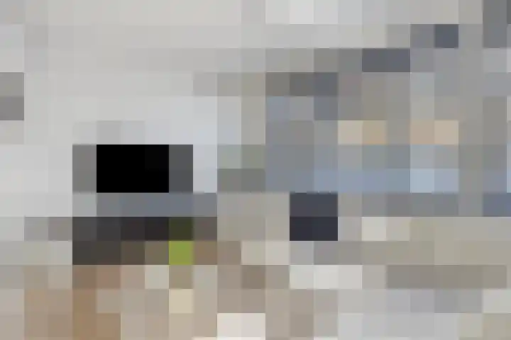 Groenelaan 121 B Schiedam thumbnail 11