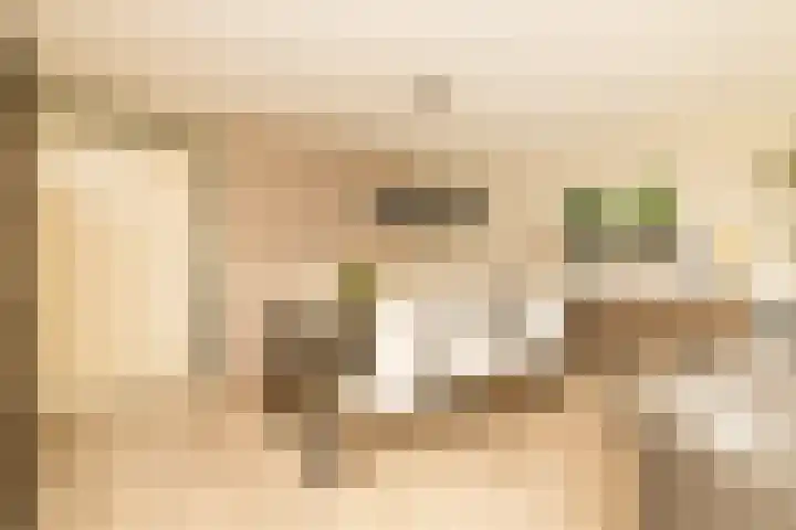 Groenelaan 132 Honselersdijk thumbnail 12