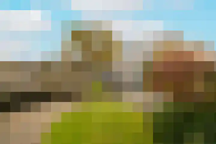 Groenelaan 132 Honselersdijk thumbnail 38
