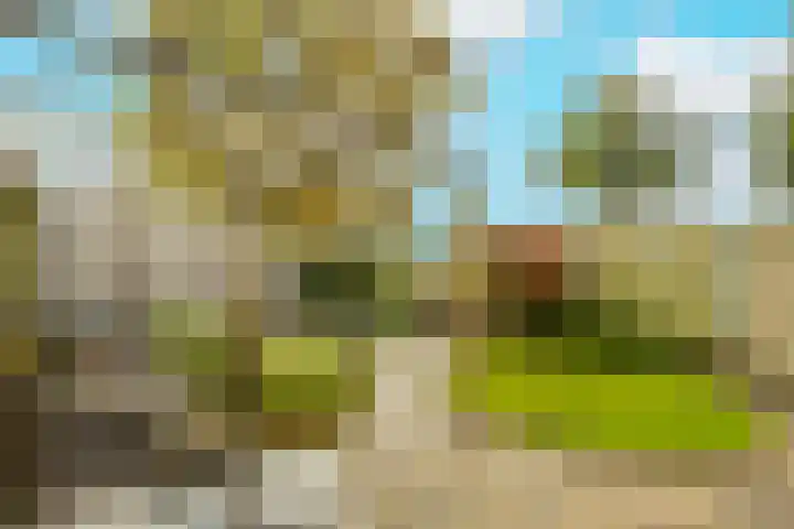 Groenelaan 132 Honselersdijk thumbnail 39