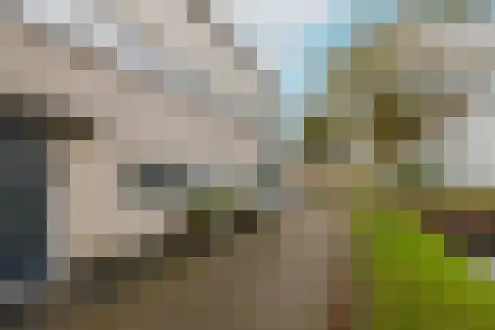 Groenelaan 132 Honselersdijk thumbnail 47