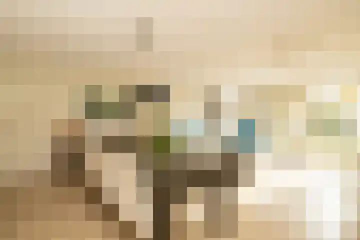 Groenelaan 132 Honselersdijk thumbnail 6