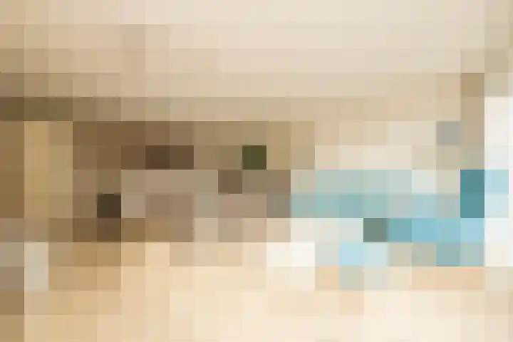 Groenelaan 132 Honselersdijk thumbnail 9