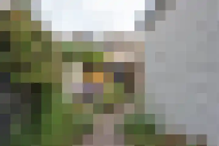 Groenelaan 22 Heiloo thumbnail 37