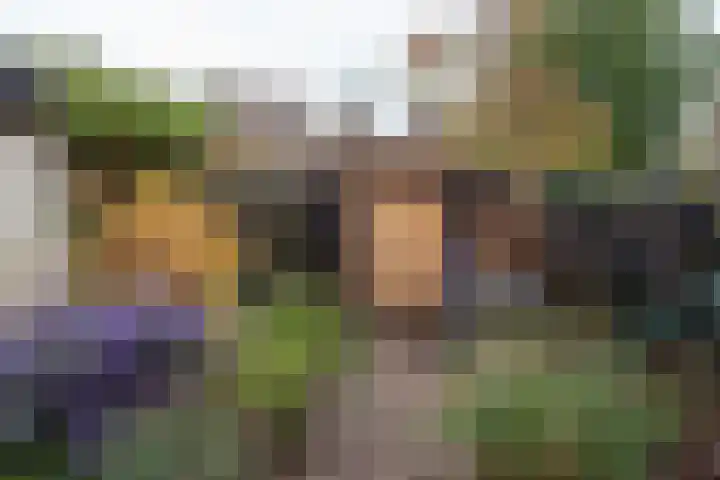Groenelaan 22 Heiloo thumbnail 38