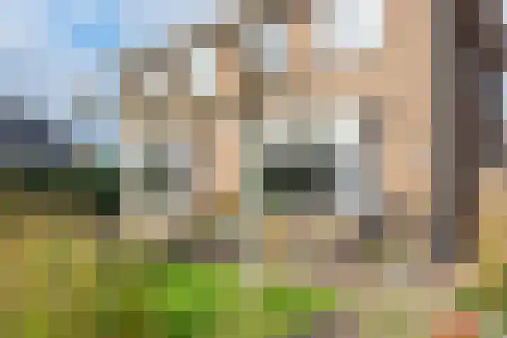 Groenelaan 22 Heiloo thumbnail 42