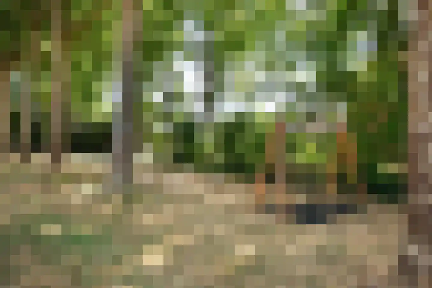 Groenelaan 27 D Beverwijk thumbnail 15