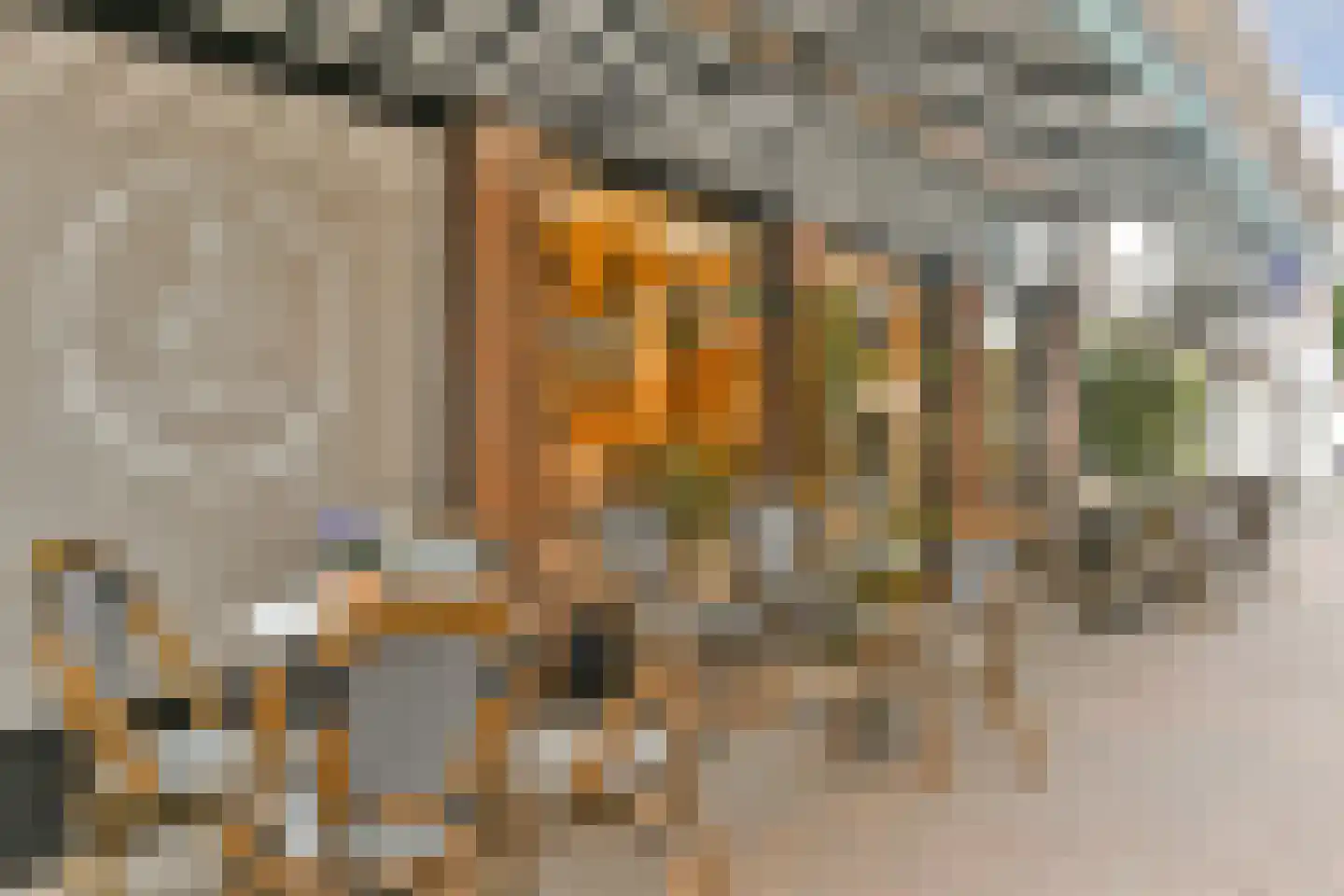 Groenelaan 27 D Beverwijk thumbnail 20
