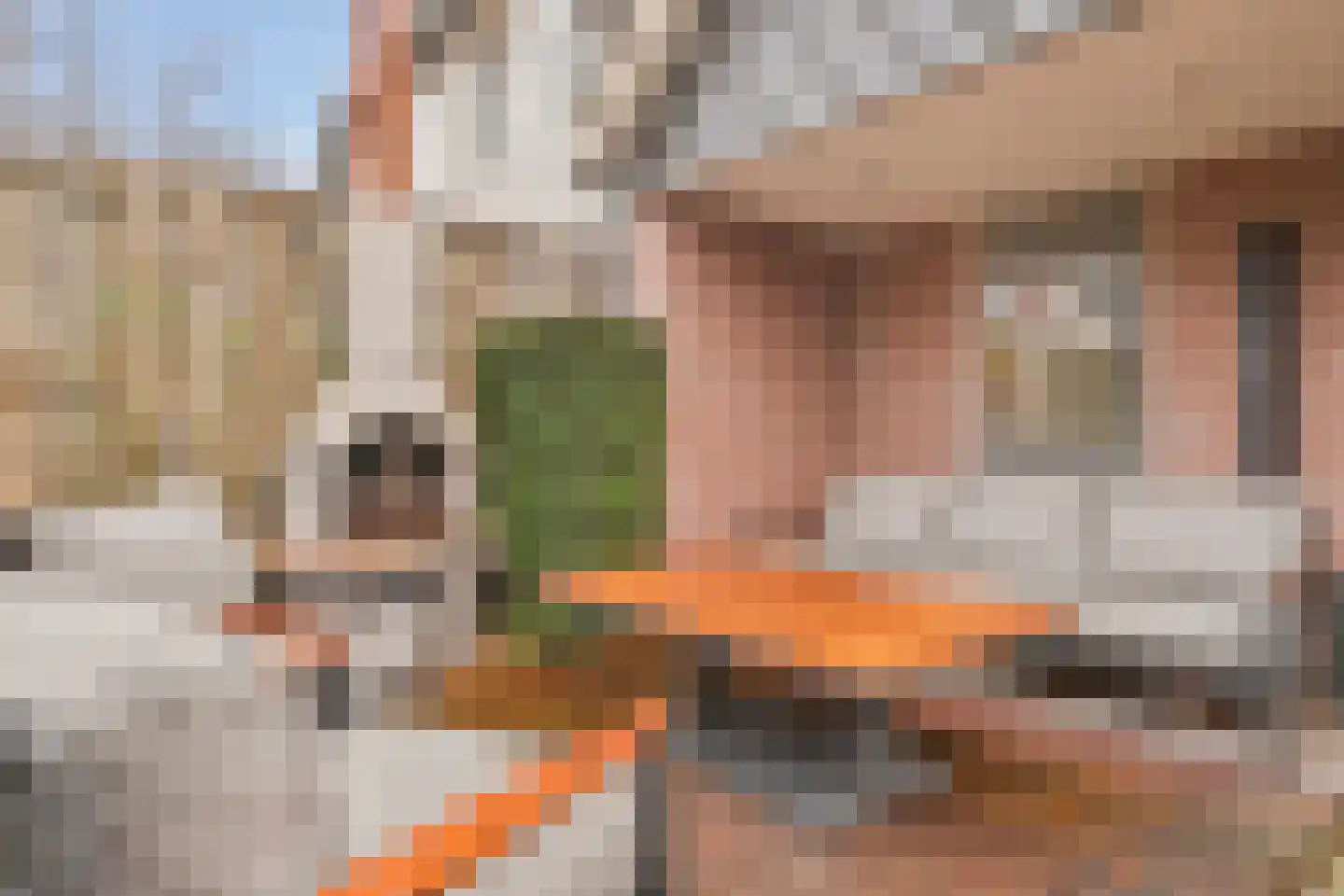 Groenelaan 27 Veenendaal thumbnail 28