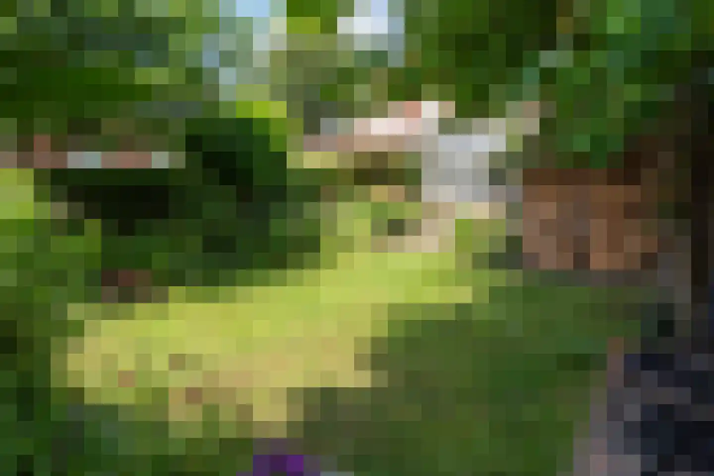 Groenelaan 3 Heiloo thumbnail 54