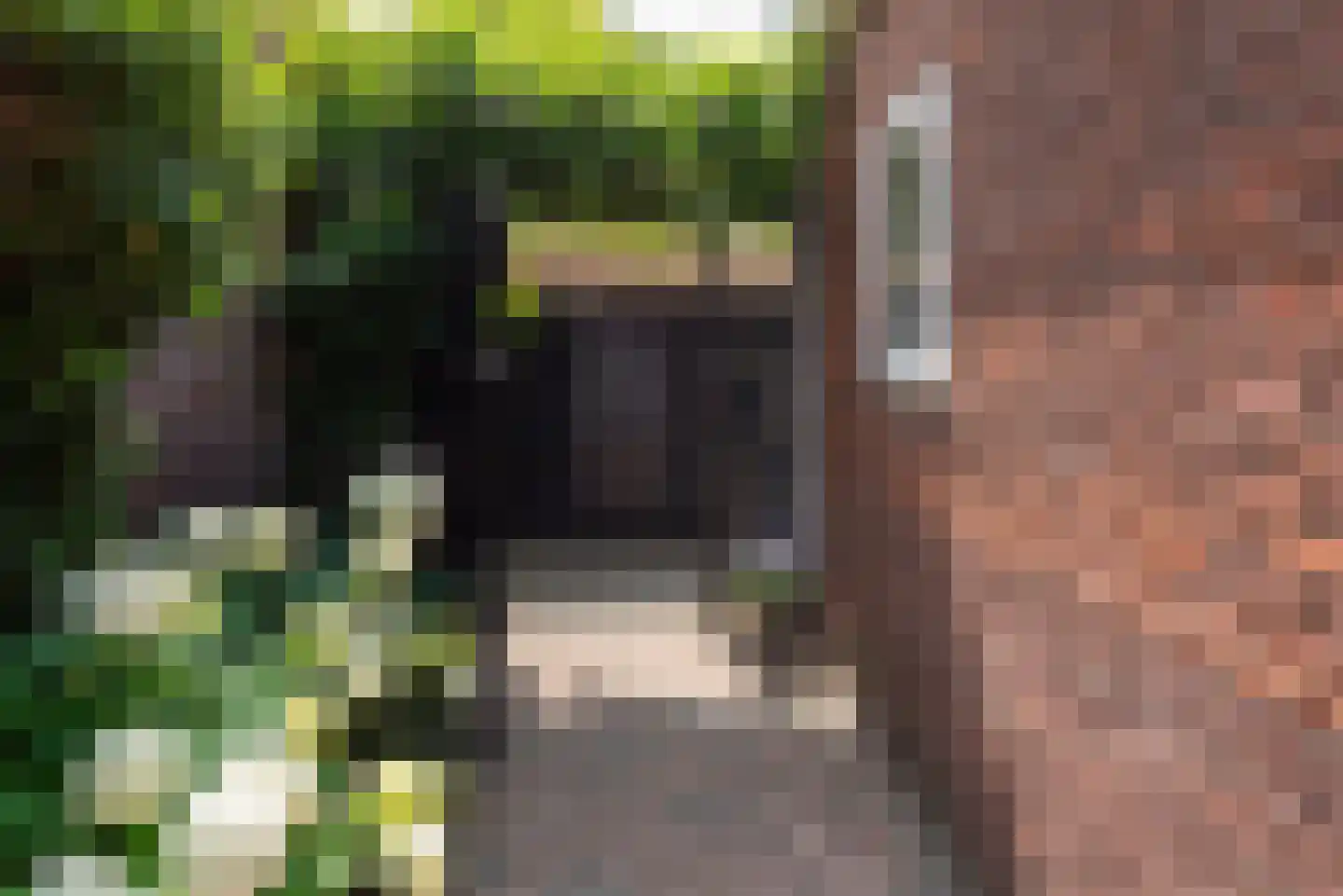 Groenelaan 3 Heiloo thumbnail 59