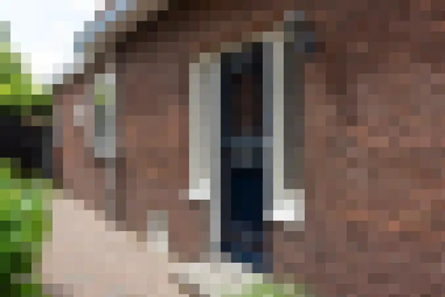 Groenelaan 3 Heiloo thumbnail 60