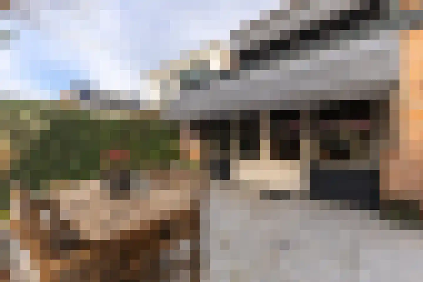 Groenelaan 48 Beverwijk thumbnail 13